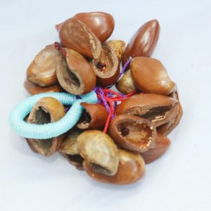 SEED SHAKER
