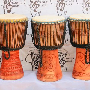 PROFESSIONAL DJEMBES